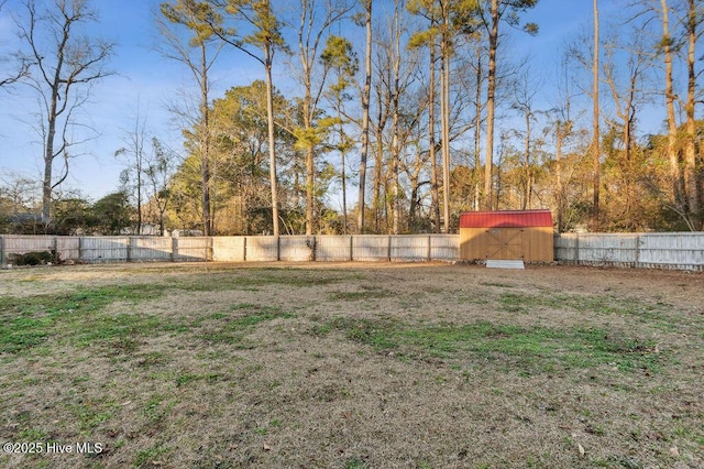 view of yard featuring a shed