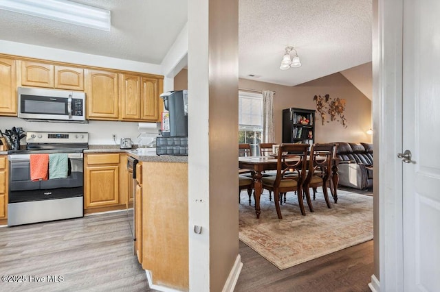 kitchen featuring stainless steel appliances, a textured ceiling, and light hardwood / wood-style flooring