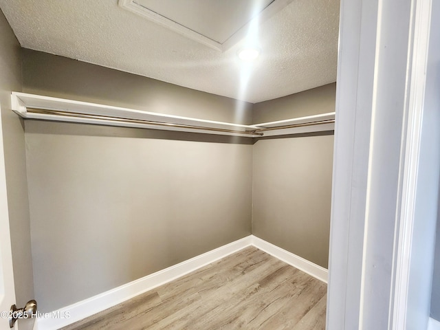 walk in closet featuring light wood-type flooring