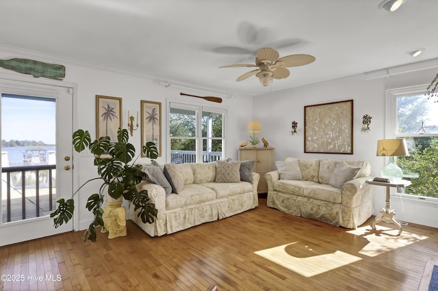 living room with ceiling fan and light hardwood / wood-style floors