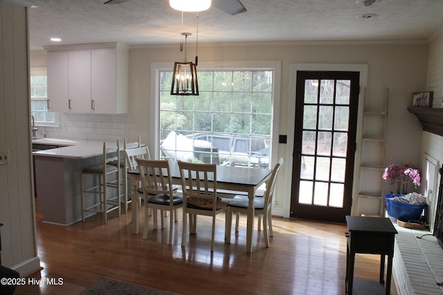 dining space featuring ornamental molding, light hardwood / wood-style flooring, and a textured ceiling