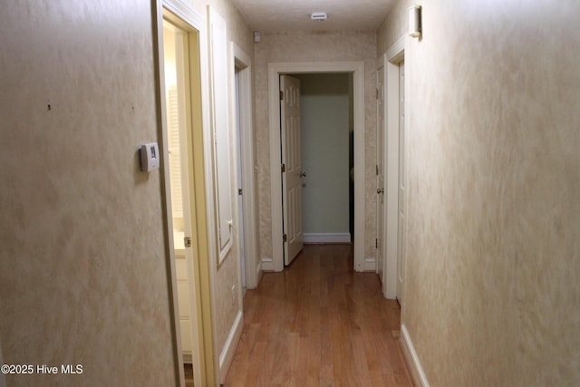 hall featuring light hardwood / wood-style floors