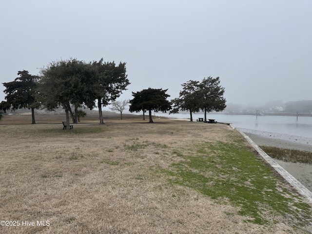 view of yard with a water view