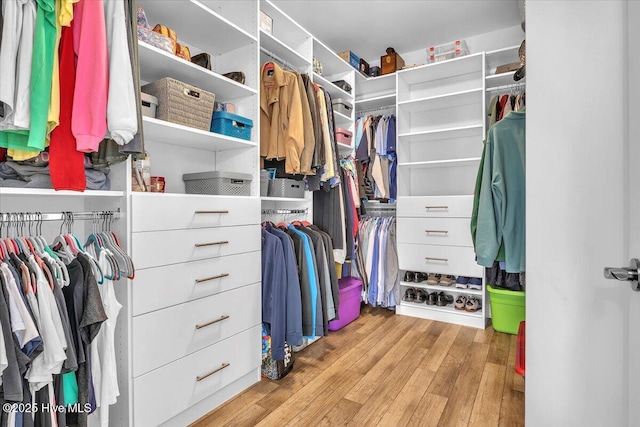 walk in closet featuring light hardwood / wood-style flooring