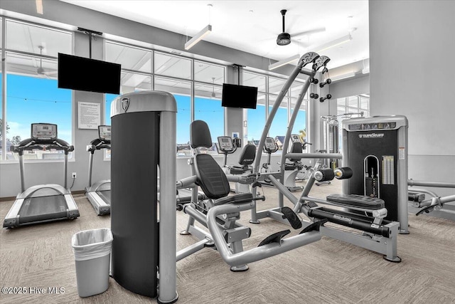 gym featuring carpet flooring