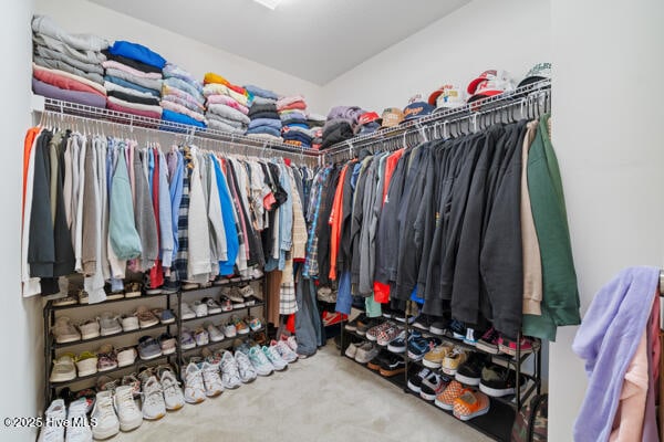 walk in closet featuring carpet flooring