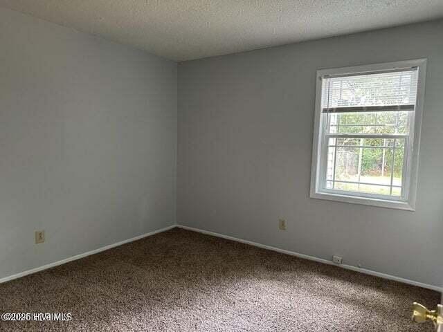 empty room with carpet and a textured ceiling