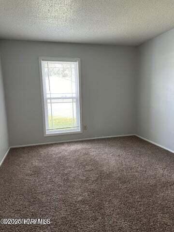 spare room with carpet floors and a textured ceiling