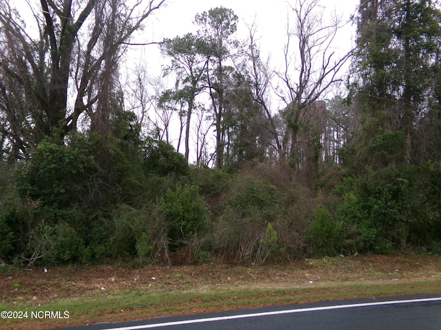 NEAR480 Academy St, Fair Bluff NC, 28439 land for sale