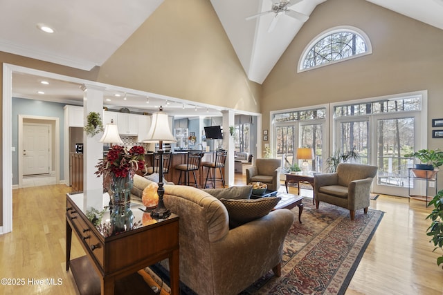 living room featuring ornate columns, plenty of natural light, high vaulted ceiling, and light hardwood / wood-style floors