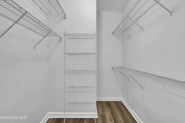 walk in closet featuring dark hardwood / wood-style floors