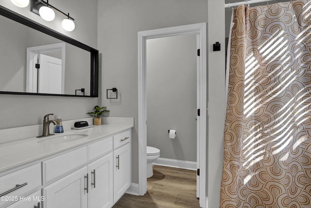 bathroom featuring vanity, a fireplace, wood-type flooring, and toilet