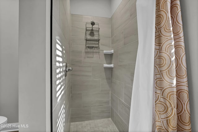 bathroom with toilet and a shower with shower curtain