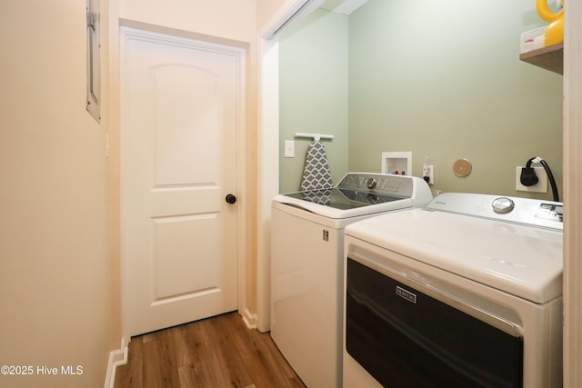 clothes washing area with dark wood-style flooring, washing machine and clothes dryer, and laundry area