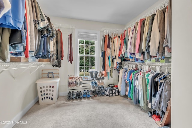 232 E Ivybridge Dr, Hubert, NC 28539 - walk in closet featuring carpet