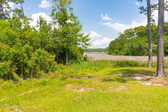 232 E Ivybridge Dr, Hubert, NC 28539 - view of yard featuring a water view