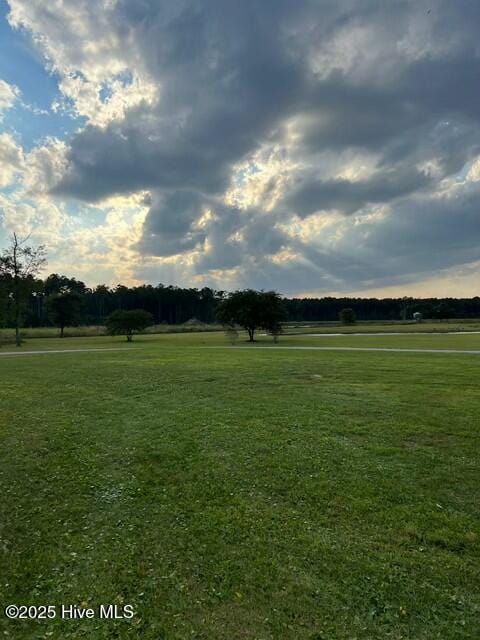 view of community with a lawn