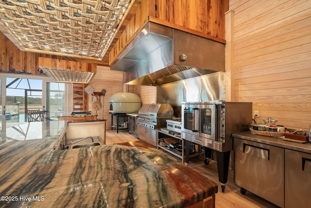 interior space featuring wood walls and light wood-style floors