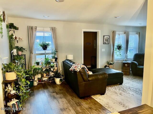 living room with hardwood / wood-style floors