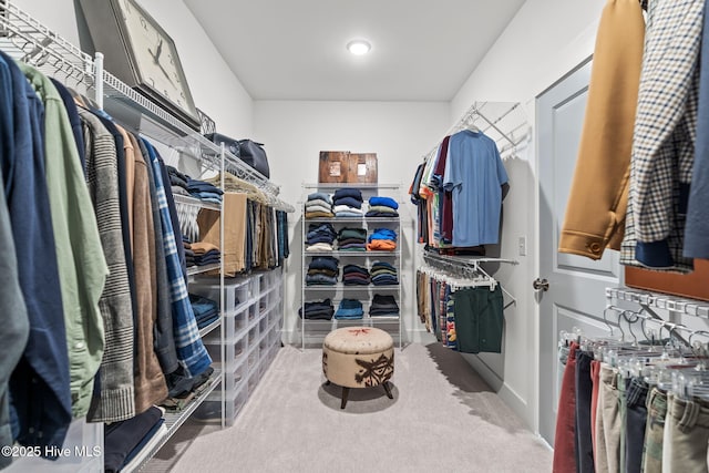 spacious closet with carpet floors