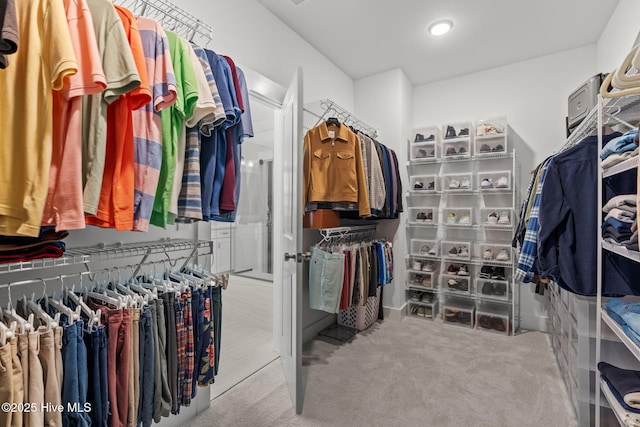 walk in closet with carpet