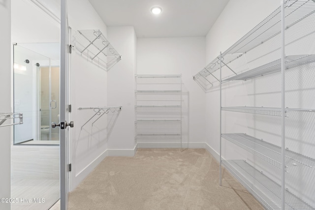3836 Mason Port Dr, Wilmington, NC 28409 - spacious closet with carpet