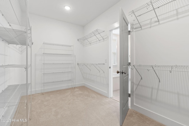 3836 Mason Port Dr, Wilmington, NC 28409 - walk in closet featuring light carpet