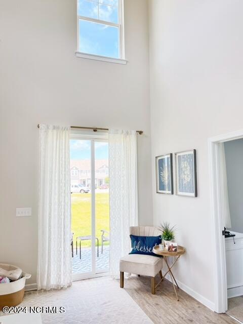 living area featuring a high ceiling