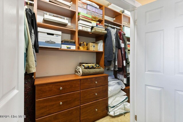 spacious closet with carpet floors