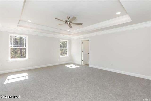 spare room featuring ornamental molding, a raised ceiling, ceiling fan, and carpet flooring