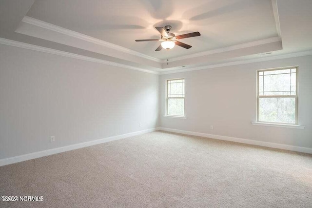 spare room featuring a raised ceiling and carpet