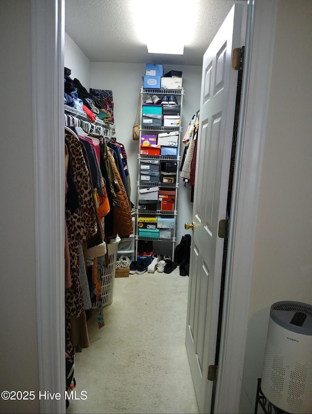 walk in closet featuring carpet floors