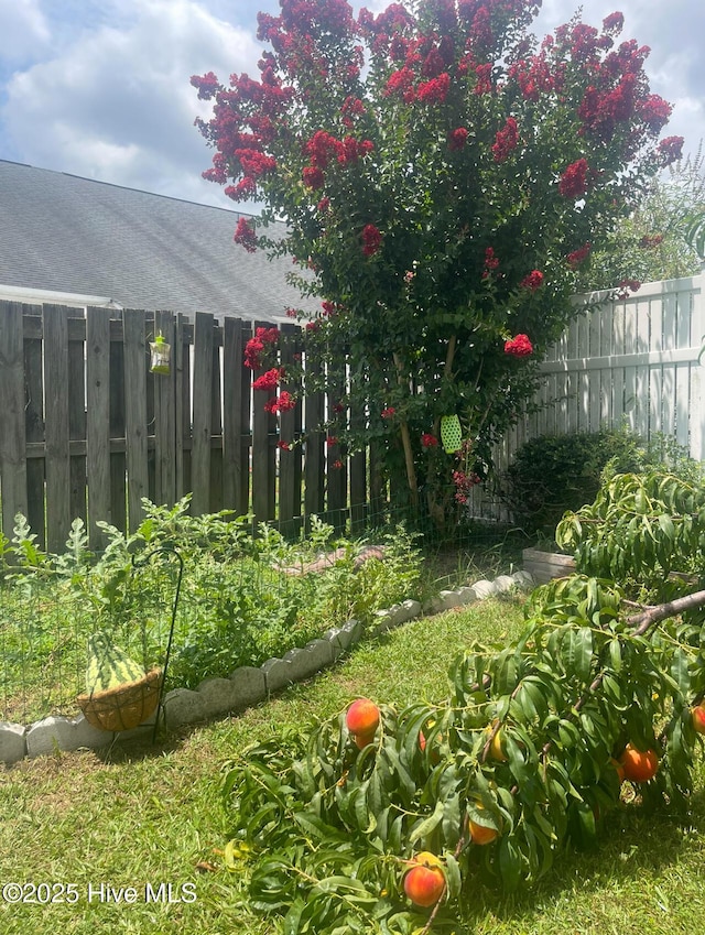 view of yard with fence and a vegetable garden