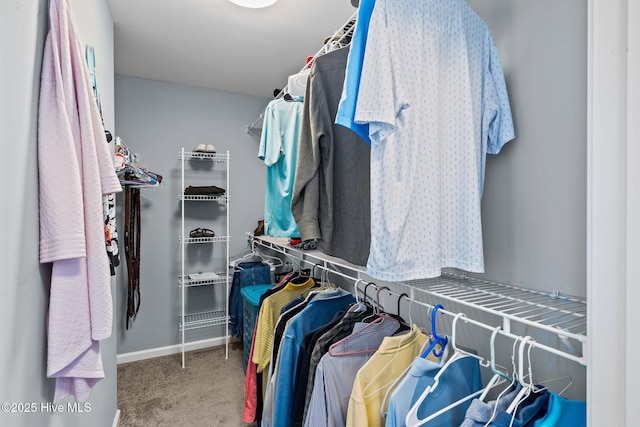 spacious closet with carpet flooring