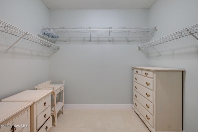 spacious closet featuring light colored carpet