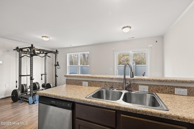 kitchen featuring stainless steel dishwasher, ornamental molding, sink, and plenty of natural light