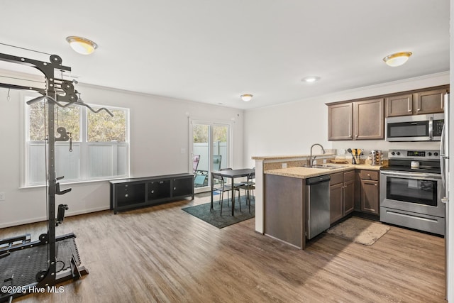 kitchen with dark brown cabinetry, sink, hardwood / wood-style flooring, and stainless steel appliances