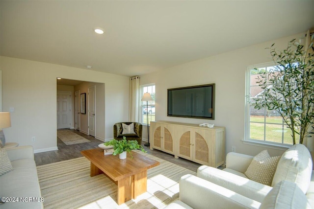 living room featuring hardwood / wood-style floors