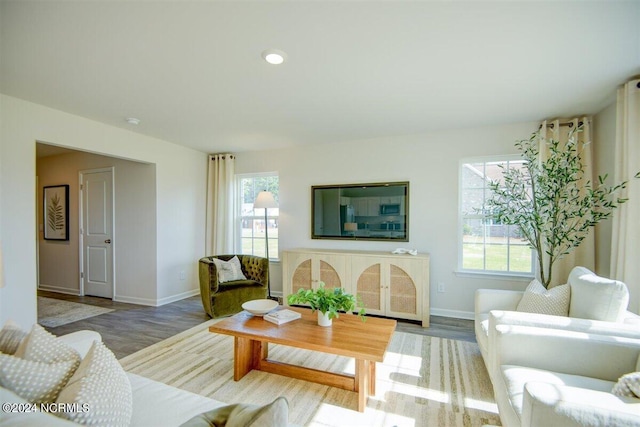 living room featuring baseboards, a wealth of natural light, and wood finished floors