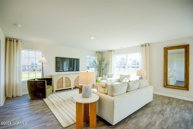 living room with wood-type flooring