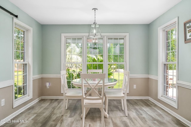 dining area featuring light hardwood / wood-style flooring and a wealth of natural light