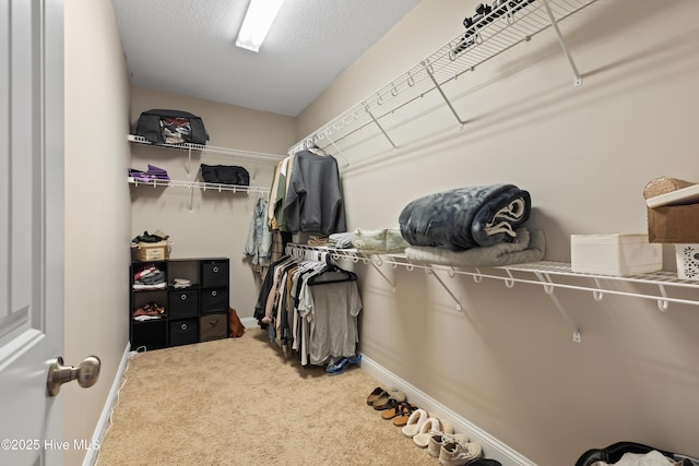 spacious closet with carpet flooring