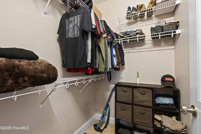 view of walk in closet