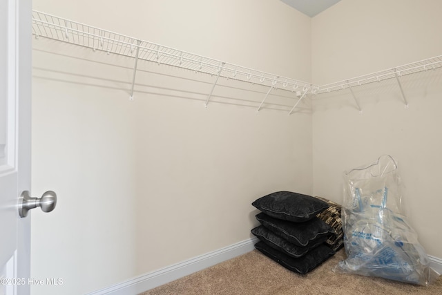 spacious closet with carpet