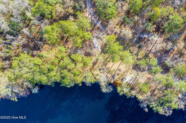 74 Talbert Dr, Rocky Point, NC 28457 - drone / aerial view with a water view