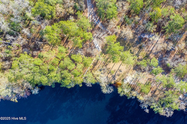 143 Talbert Dr, Rocky Point, NC 28457 - bird's eye view with a water view