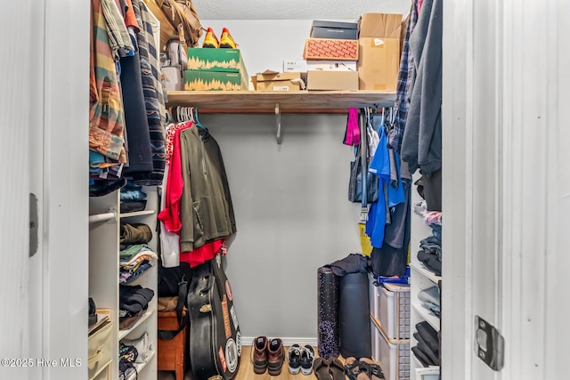 view of walk in closet