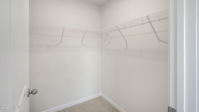 walk in closet featuring carpet