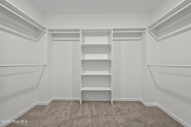 spacious closet with carpet flooring