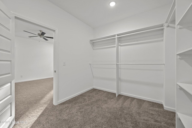 walk in closet with dark carpet and ceiling fan